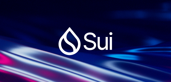 Discovery splash banner for Sui Discord server